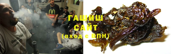 прущий лед Алзамай