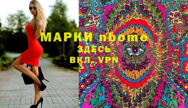 прущий лед Алзамай