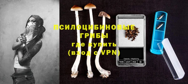дурь Алексин