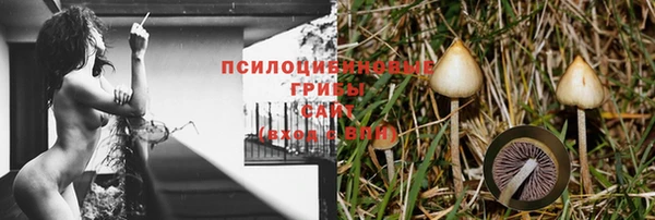 экстази Алексеевка